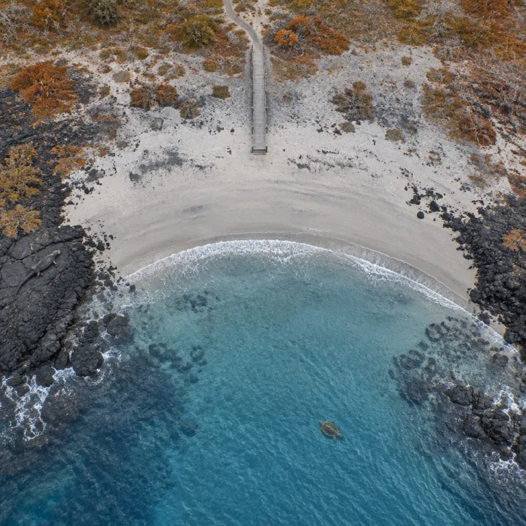 Tortuga Bay on Foot: The Galápagos Beach You Reach Without a Boat
