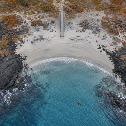Tortuga Bay on Foot: The Galápagos Beach You Reach Without a Boat