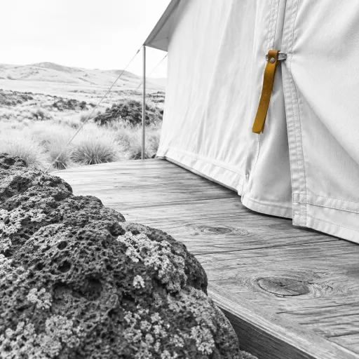 Inside Galápagos Safari Camp: A Highland Tented Lodge Built Around the View
